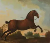 Johann Georg de Hamilton, Horse in a landscape, oil on canvas; unframed