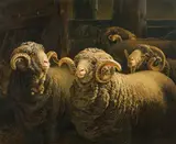 Béla Pállik, Rams in the stable, 1902, oil on canvas