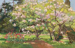 Therese Schachner, Blooming magnolia trees, gouache on paper