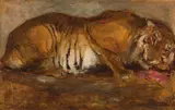 Carl Fahringer, Tiger