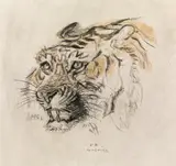Tiger's head by Ludwig Heinrich Jungnickel, charcoal and watercolour on paper, sold Jul 2021