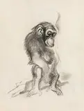 Lieserl from Schönbrunn, monkey by Ludwig Heinrich Jungnickel, charcoal on paper, sold Jul 2021