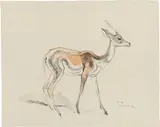 Schreitende Gazelle by Ludwig Heinrich Jungnickel, watercolour and charcoal on paper; unframed, sold Jul 2021