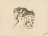 Abwärtsschreitender Schimpanse by Ludwig Heinrich Jungnickel, charcoal on paper; unframed, sold Jul 2021