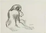 Sitting monkey by Ludwig Heinrich Jungnickel, charcoal on paper; unframed, sold Jul 2021