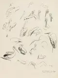 Norbertine Bresslern-Roth, Bird studies