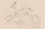 Norbertine Bresslern-Roth, Gazelle
