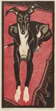 Norbertine Bresslern-Roth, Greyhound