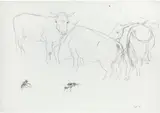 Maria Lassnig, Untitled (Cows), pencil on paper; framed