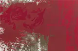 Hermann Nitsch, Leviticus (motif no.8)