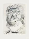 Karl Anton Fleck, Portrait