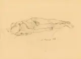 Anton Kolig, Lying male nude