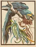 Norbertine Bresslern-Roth, Hyacinth macaw