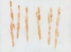 Rudi Stanzel, Indian tea leaves, 1996, mixed media on Ultraphan paper; unframed
