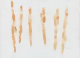 Rudi Stanzel, Indian tea leaves, 1996, mixed media on Ultraphan paper; unframed