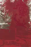 Hermann Nitsch, Levitikus (Motiv no. 8)