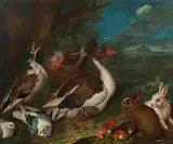 Philipp Ferdinand de Hamilton, Landscape with chicken, duck, goose and pair of doves and rabbits, 1746, oil on canvas