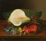 Antoinette Uldall, Flower still life with calla, 1858, oil on canvas