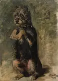 Caspar von Reth, Ein Hund macht Männchen, 1890, oil on paper on wood