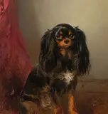 Matthias Ranftl, Spaniel, 1852, oil on canvas