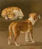 Henriëtte Ronner-Knip, Dog studies