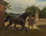 Wilhelm Richter, Presenting a black horse, 1871, oil on canvas