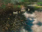 Alexander Koester, Ducks in the reed, oil on canvas