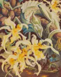 Norbertine Bresslern-Roth, Orchideenjäger II