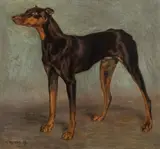 Norbertine Bresslern-Roth, Dobermann