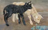 Norbertine Bresslern-Roth, Lambs