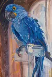 Carl Fahringer, Blue Macaw