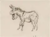 Ludwig Heinrich Jungnickel, Ragged donkey