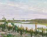 Werner Berg, Late summer in Karelia, Finnland, 1942, oil on canvas