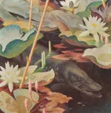 Norbertine Bresslern-Roth, Wasserwolf
