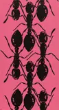 Peter Kogler, Ants