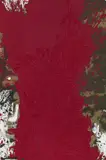 Hermann Nitsch, Levitikus (Motive no. 2)