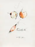 Hans Staudacher, Fruit