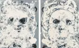 Christian Eisenberger, Untitled (Diptychon)