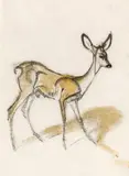 Deer by Ludwig Heinrich Jungnickel, black chalk, watercolour on paper, sold Mar 2020