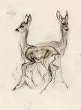 Two deer by Ludwig Heinrich Jungnickel, black chalk, watercolour on paper, sold Mar 2020