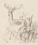 Deer family by Ludwig Heinrich Jungnickel, black chalk on paper, sold Mar 2020