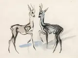 Two gazelles by Ludwig Heinrich Jungnickel, black chalk, watercolour on paper, sold Mar 2020