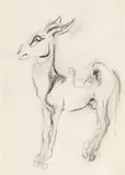 Donkey by Ludwig Heinrich Jungnickel, black chalk on paper, sold Mar 2020