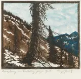 Leopold Scheidl, Berghang im Frühling, coloured woodcut on thin Japan paper