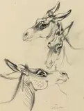 Ludwig Heinrich Jungnickel, Three donkeys