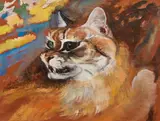Ludwig Heinrich Jungnickel, Wildcat