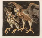 Norbertine Bresslern-Roth, Young birds of prey (Greifvögel)