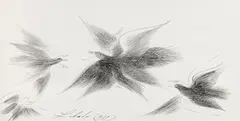 Anton Lehmden, Flying bird, 1989, India ink on paper; framed
