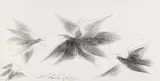 Anton Lehmden, Flying bird