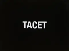 Leo Zogmayer, Tacet, 2009, acrylic behind glass